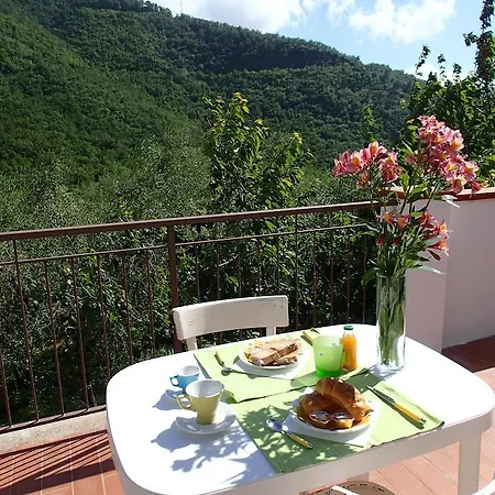 Mare E Ulivi Bed & Breakfast Alassio